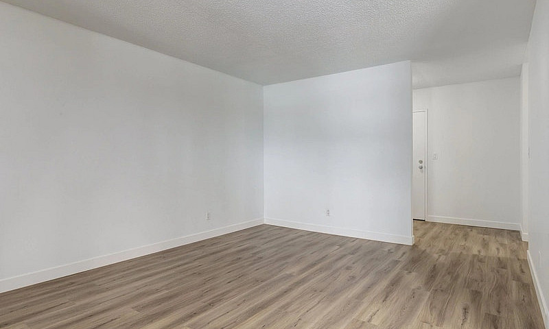 Spacious Apartments ...