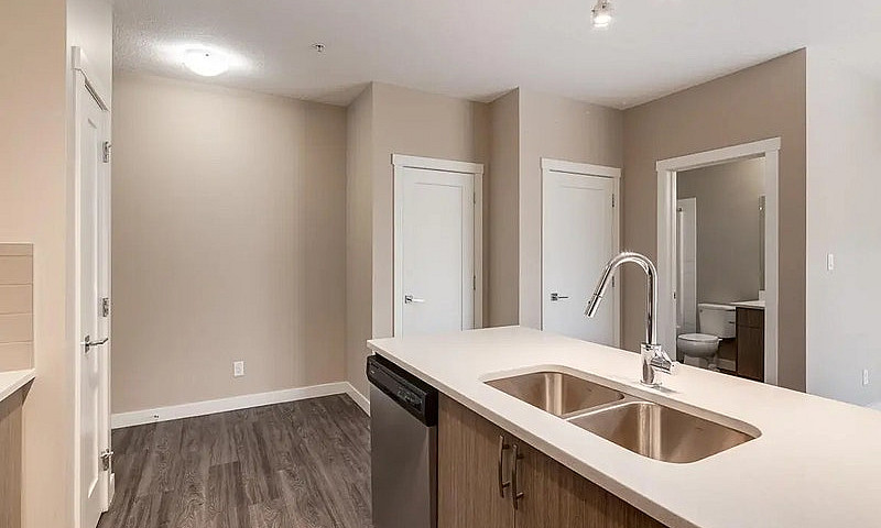 In-Suite Laundry, St...