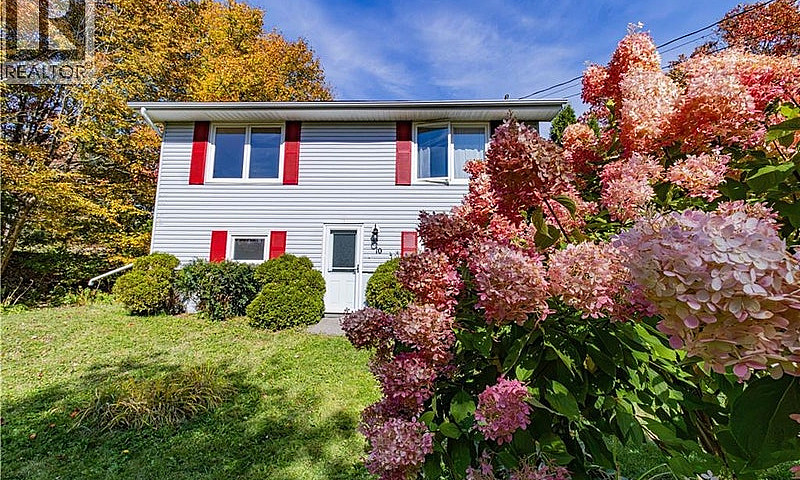 10 Birch Lane Willow...