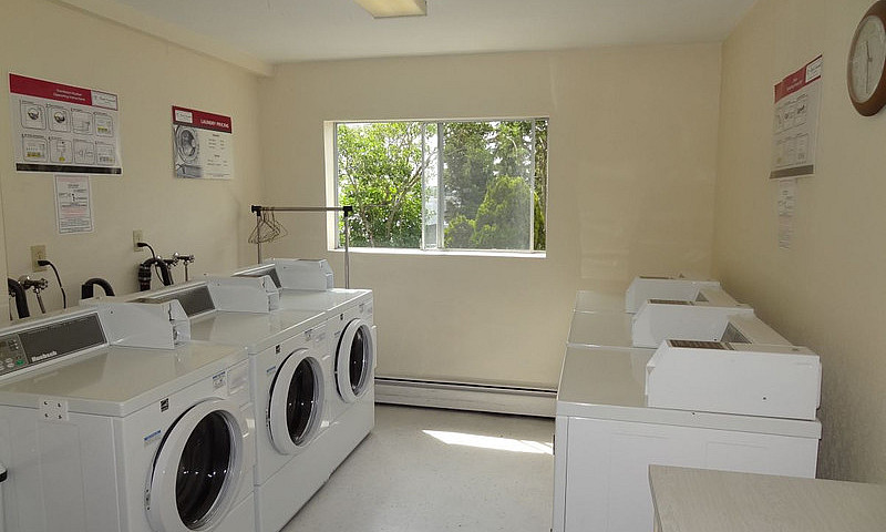 1 Bedroom Apartment ...