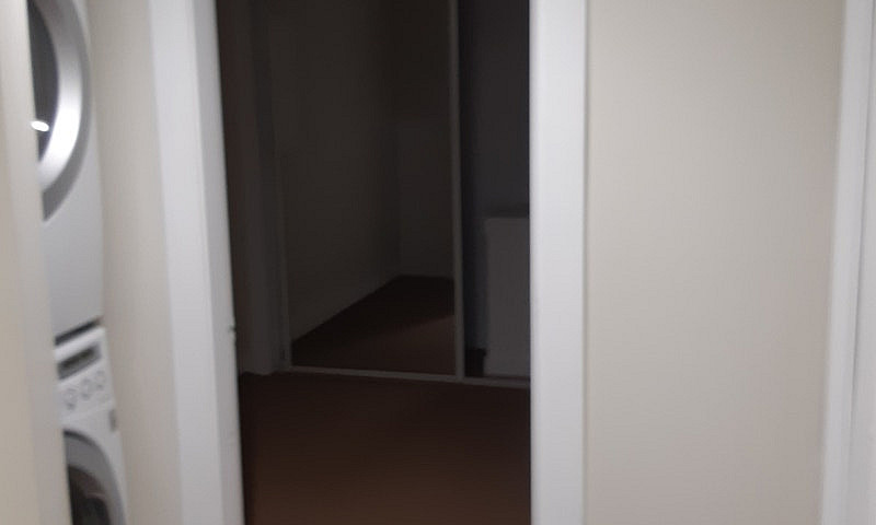 Basment Suite...
