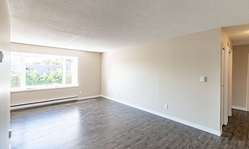 1 Bedroom Apt All In...