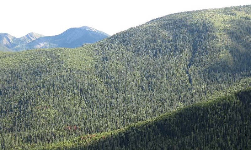 Bc Outfitter Guiding...