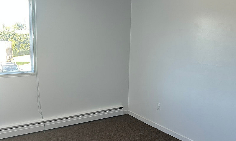 Pet-Friendly Apartme...