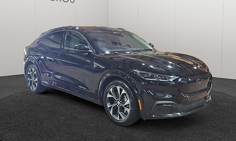 2022 Ford Mustang Ma...