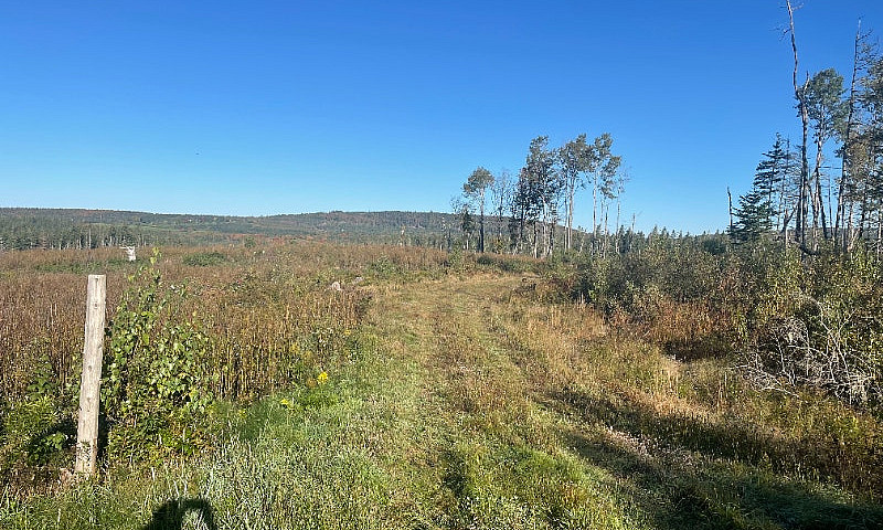 Mclure Rd. (Lot 3), ...