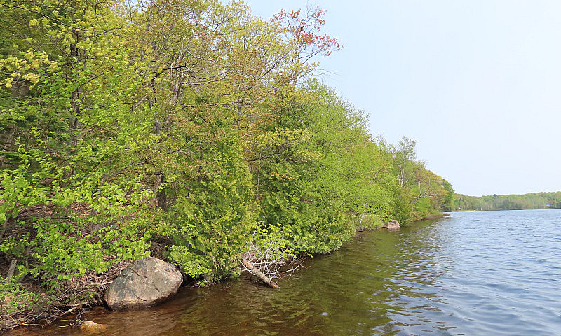 Prince Lake Lot...