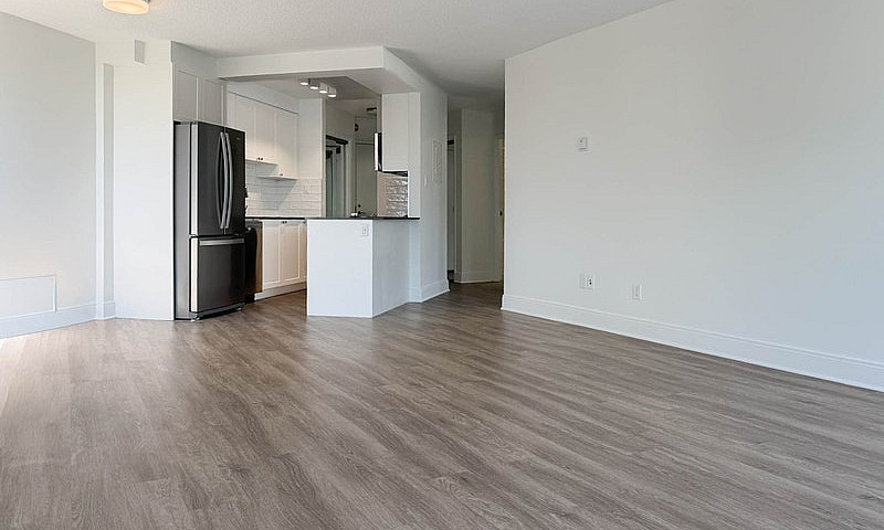 1 Bedroom Apartment ...