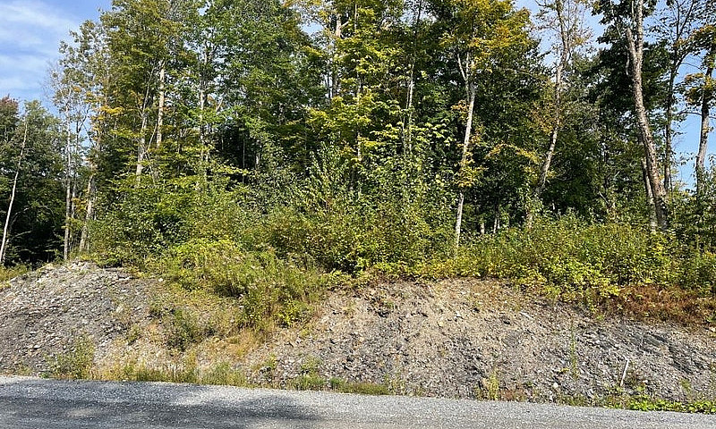 164 000$ - Terrain R...