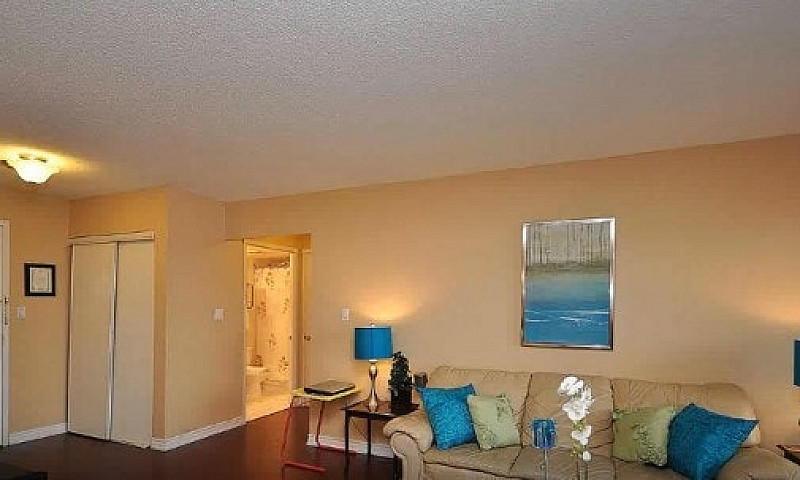 2 Bedroom + Solarium...