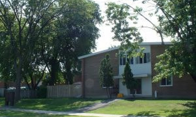 Spacious 3 Bedroom +...
