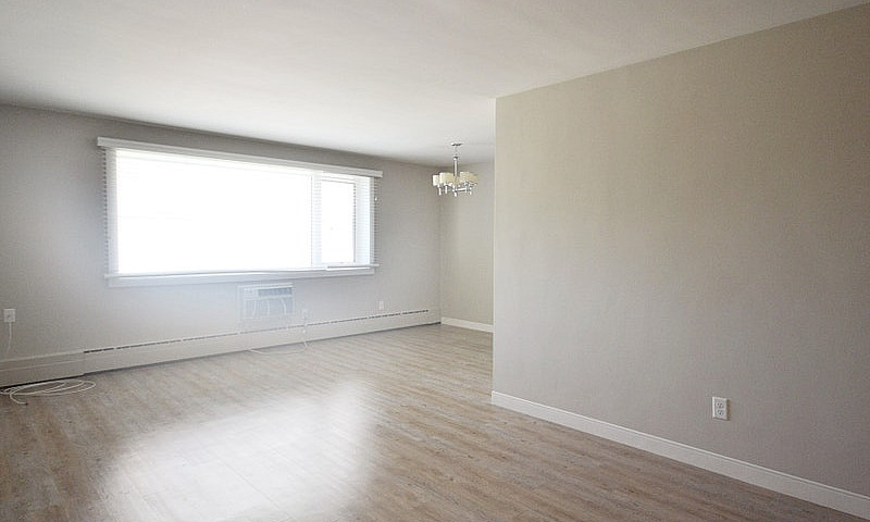 Bright And Renovated...
