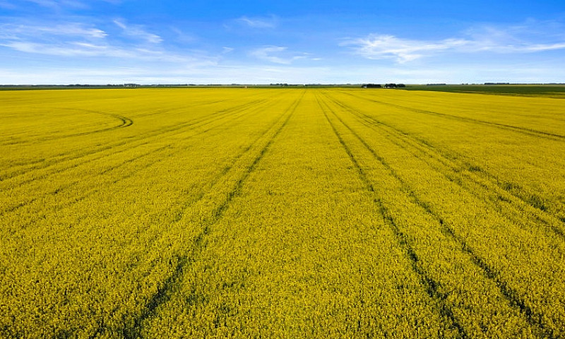 306.39 Acres | Rm Of...