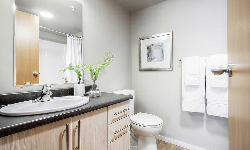 Pet-Friendly One Bed...