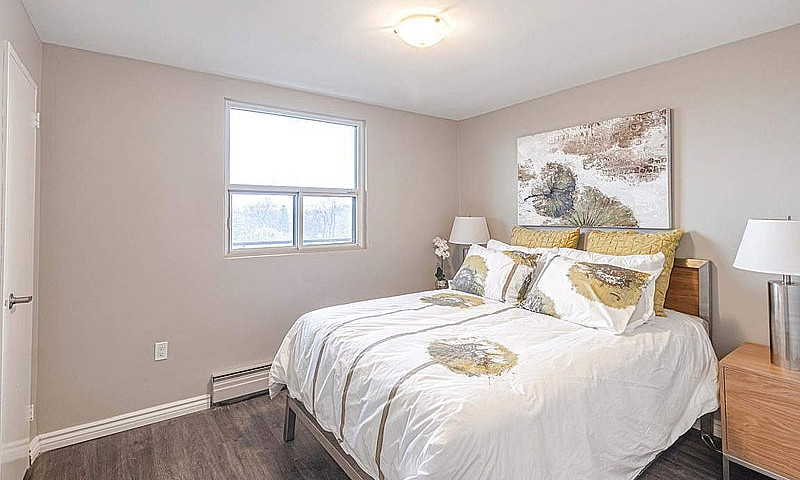 Modern Updated 2 Bed...