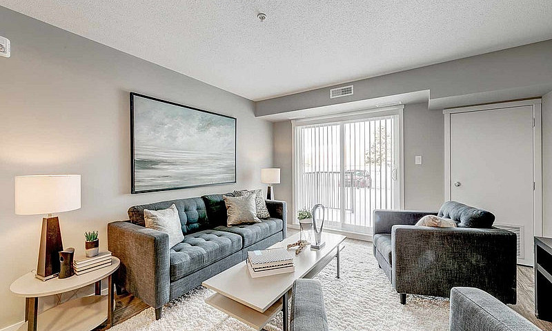Pet-Friendly Three B...