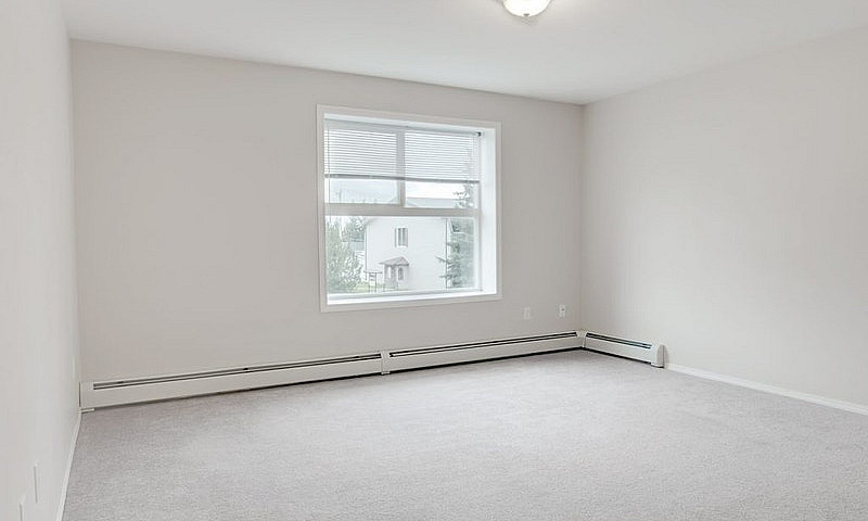Paragon Apartments -...