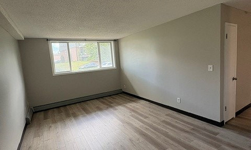 1 Bed 1 Bath Unit In...