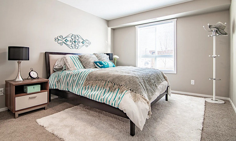 Pet-Friendly Three B...