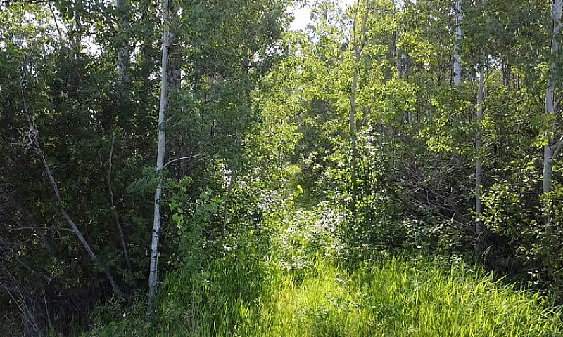 7.51 Acre Property I...