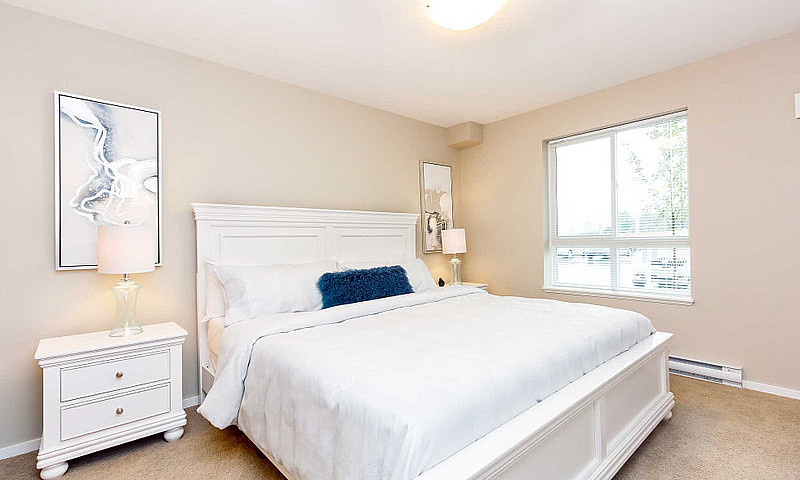 Pet-Friendly Three B...