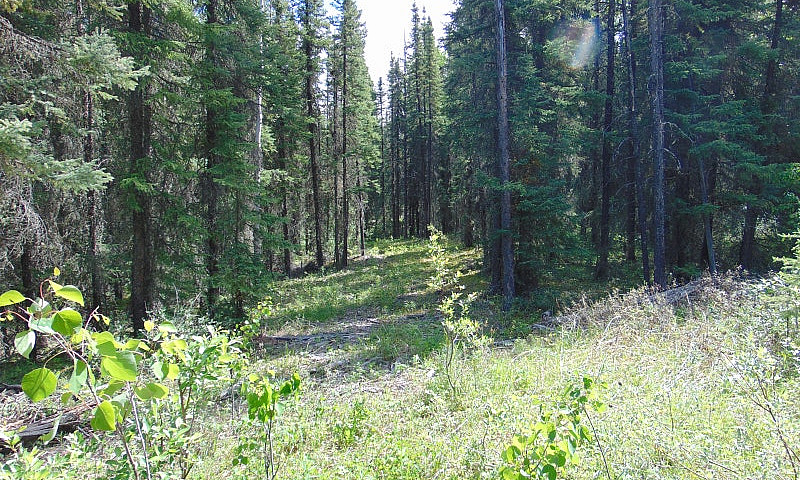 Bc Outfitter Guiding...