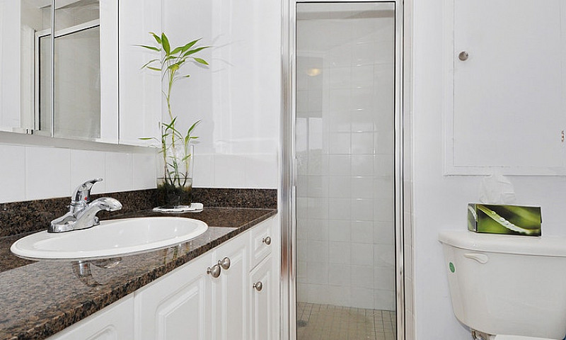 Hollies - 3 Bedroom ...