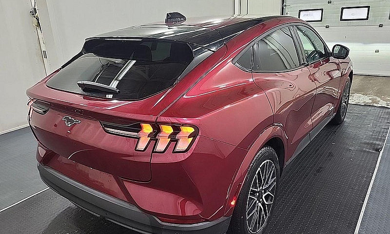 2025 Ford Mustang Ma...
