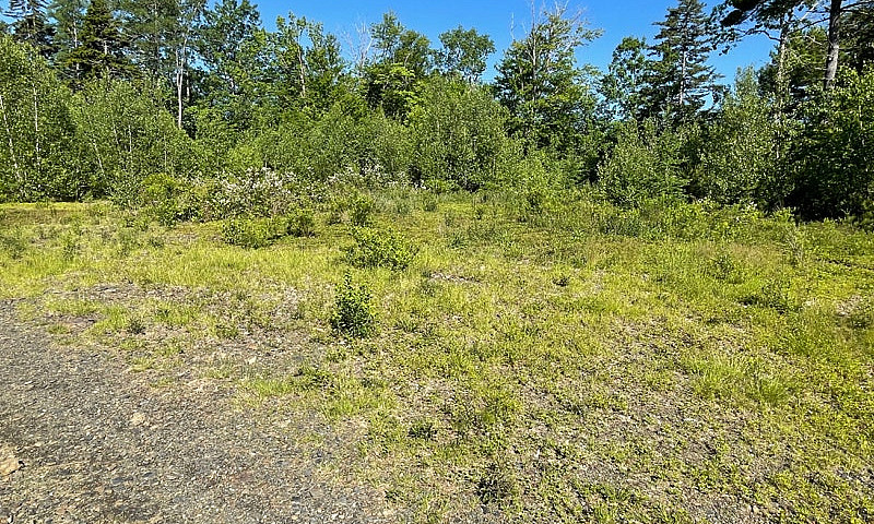 2.25 Acres With Driv...