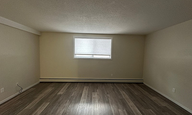 1 Bedroom 1 Bath Apa...