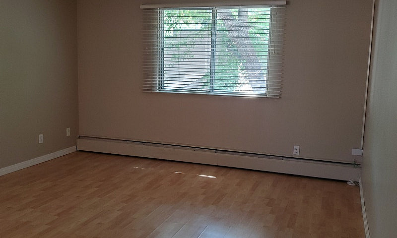 One Bedroom Apartmen...