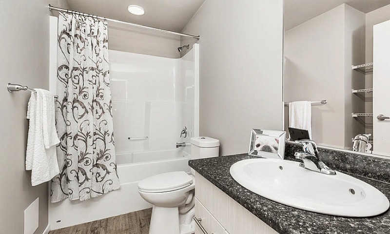 Pet-Friendly Three B...