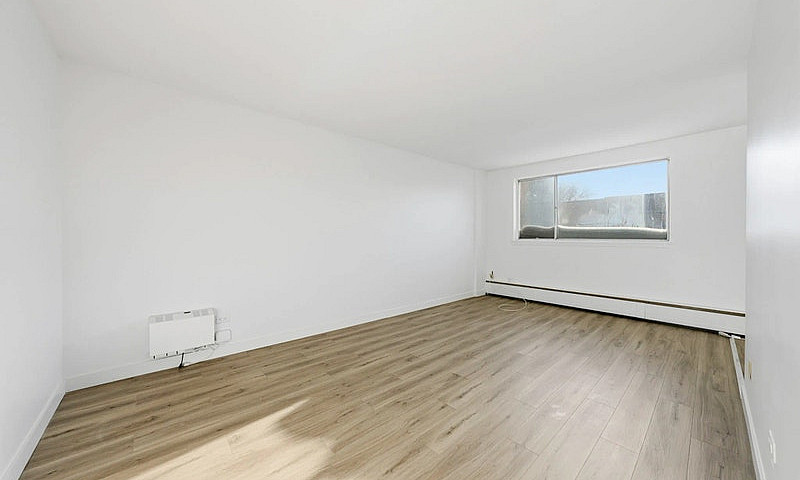 Modern Apartments Wi...