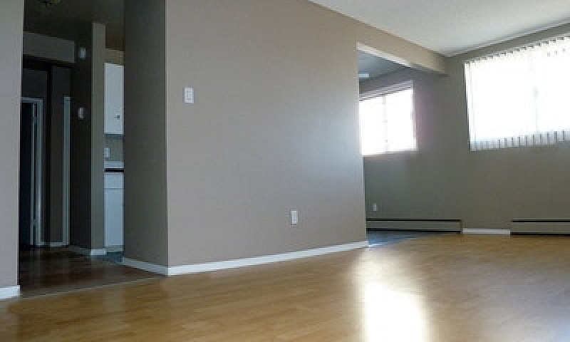 Oliver Apartment For...