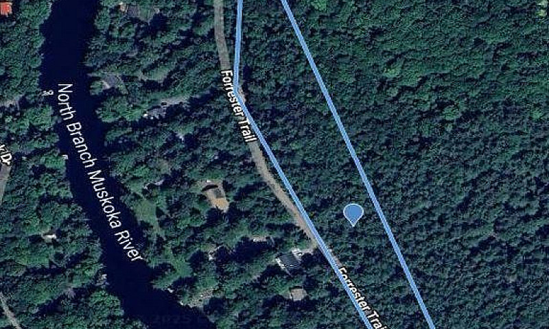 1019 Forrester Trail...