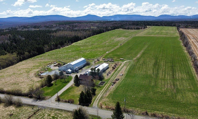 La Patrie Estrie, Fe...