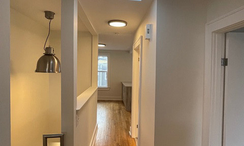 Newly Renovated 1 Be...
