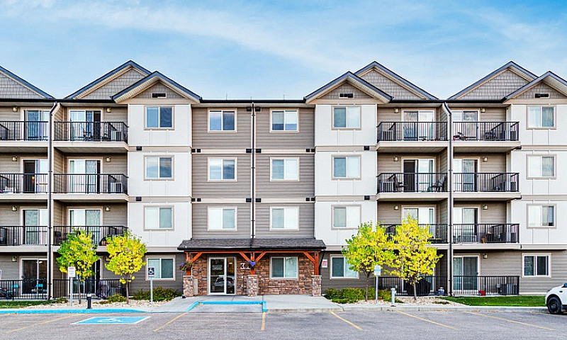 Pet-Friendly Three B...