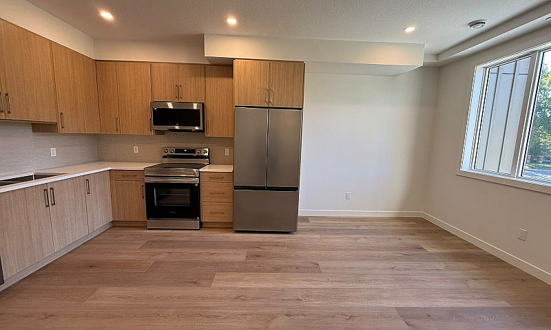 Brand New 4 Bed 3 Ba...