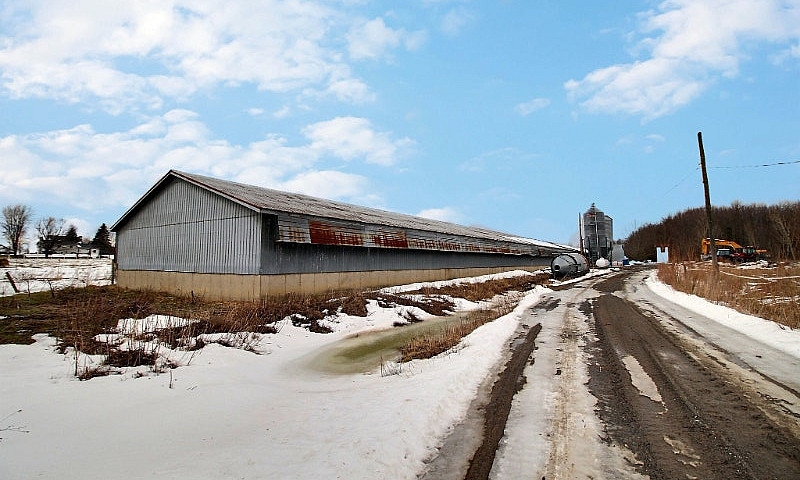 Estrie : Dunham Porc...