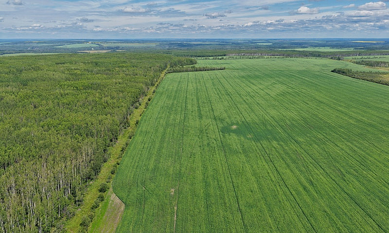 2,097 Acres | Rose P...