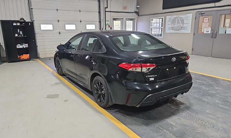 2020 Toyota Corolla...