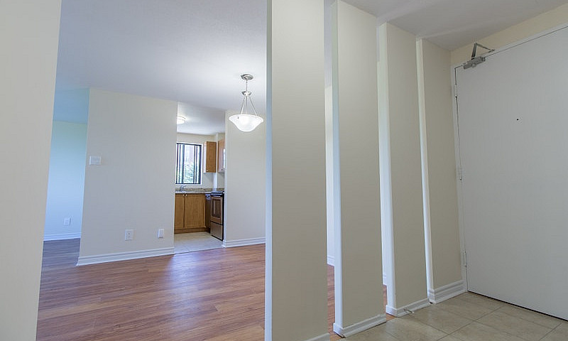 1 Bedroom Apartment ...