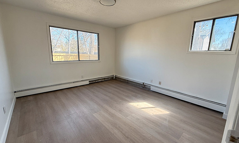 Modern & Spacious 2 ...
