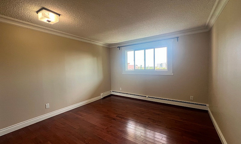1 Bed 1 Bath Availab...