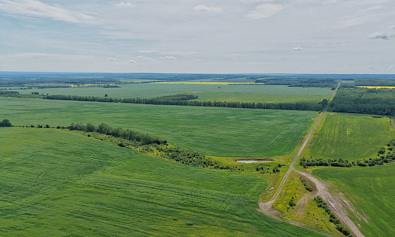 2,097 Acres | Rose P...