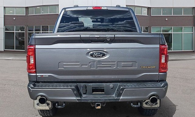 2023 Ford F-150 Trem...