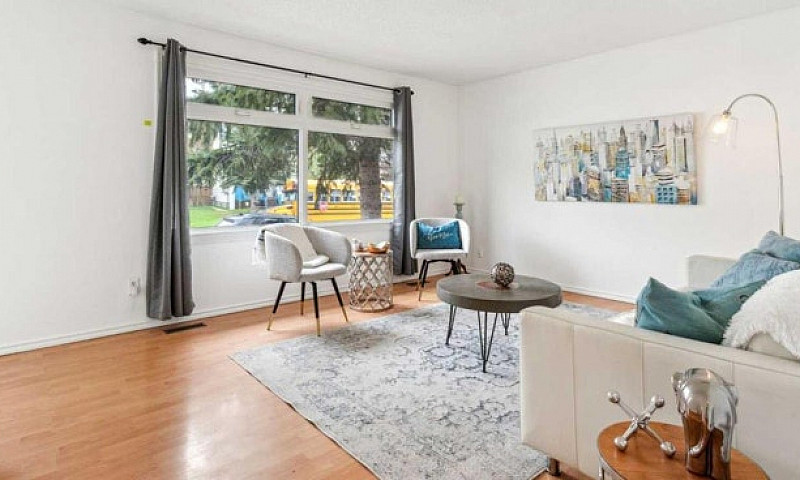 Spacious 3-Bed Falco...