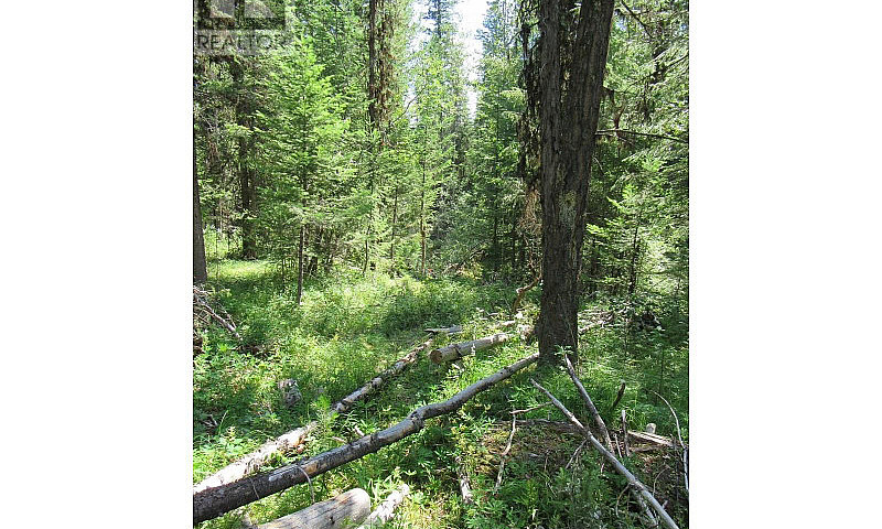 Lot 172 Womack Road ...