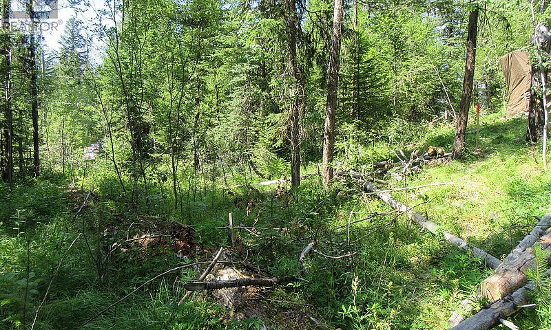 Lot 172 Womack Road ...
